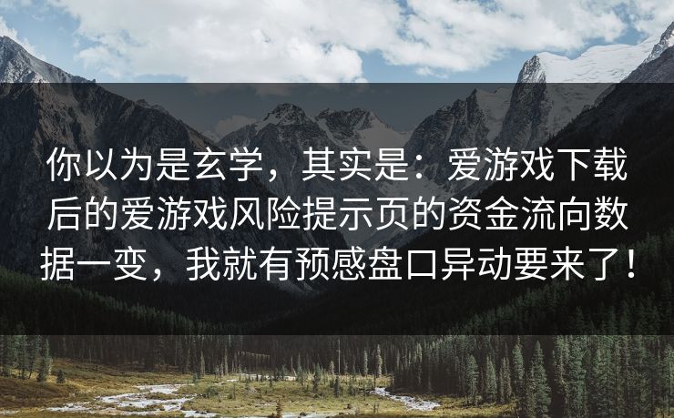 你以为是玄学，其实是：爱游戏下载后的爱游戏风险提示页的资金流向数据一变，我就有预感盘口异动要来了！