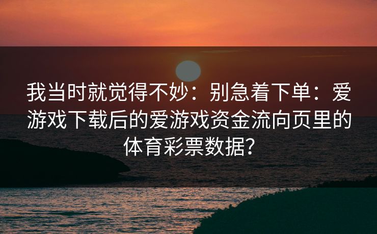 我当时就觉得不妙：别急着下单：爱游戏下载后的爱游戏资金流向页里的体育彩票数据？