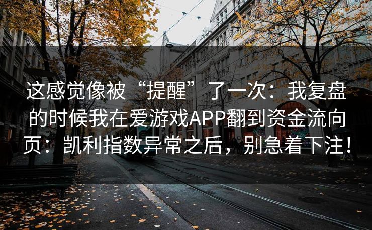 这感觉像被“提醒”了一次：我复盘的时候我在爱游戏APP翻到资金流向页：凯利指数异常之后，别急着下注！